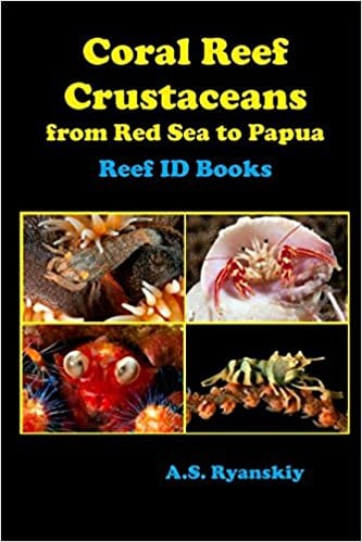 Coral Reef Crustaceans: From Red Sea to Papua