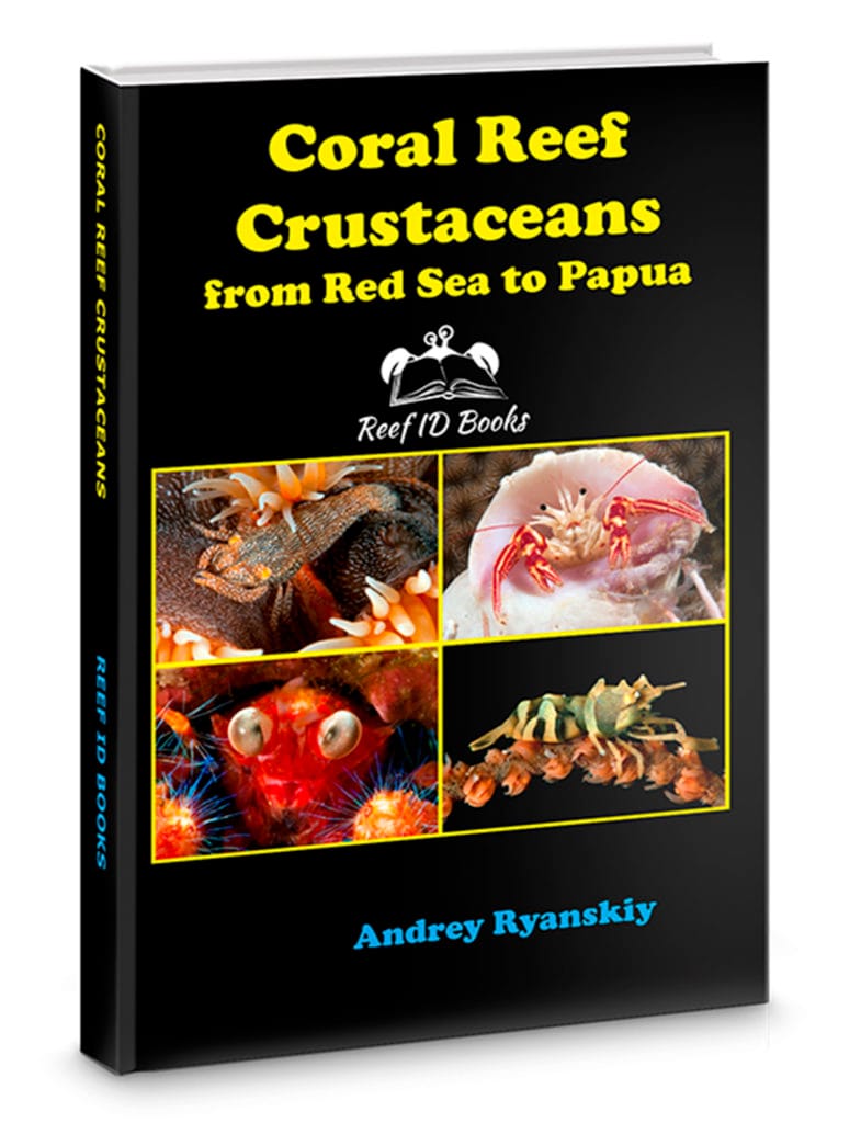 Coral Reef Crustaceans: From Red Sea to Papua – Reef ID Books: photo ...