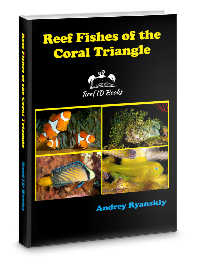 Reef Aquarium Fishes by Scott W. Michael
