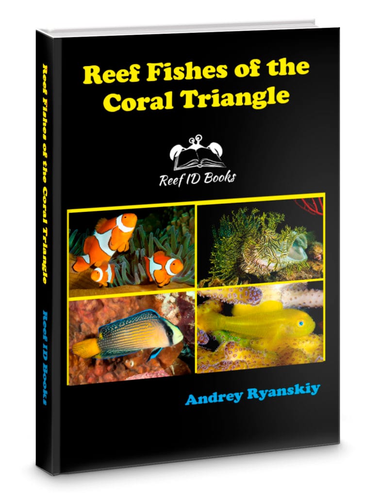 Reef Fishes of the Coral Triangle Reef ID Books photo guides about