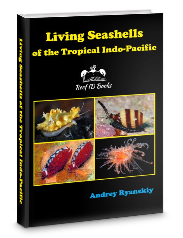 Living Seashells of the Tropical Indo-Pacific