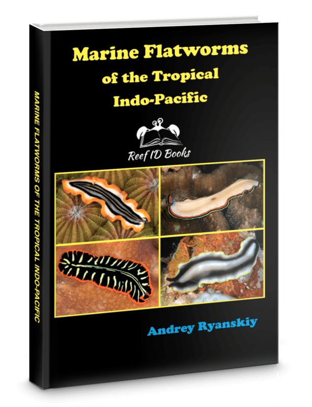 Marine Flatworms of the Tropical Indo-Pacific