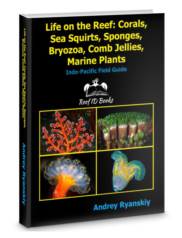 Life on the Reef: Corals, Sea Squirts, Sponges, Bryozoa, Comb Jellies, Marine Plants Indo-Pacific Field Guide