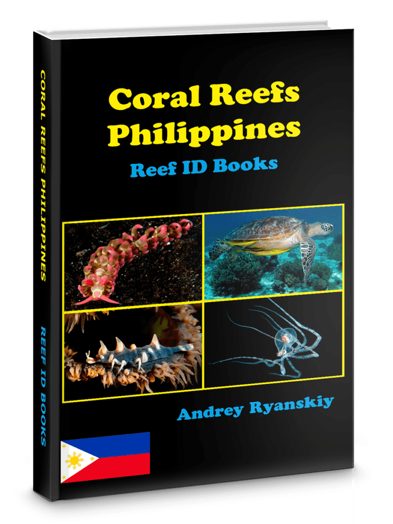 Coral Reefs Philippines