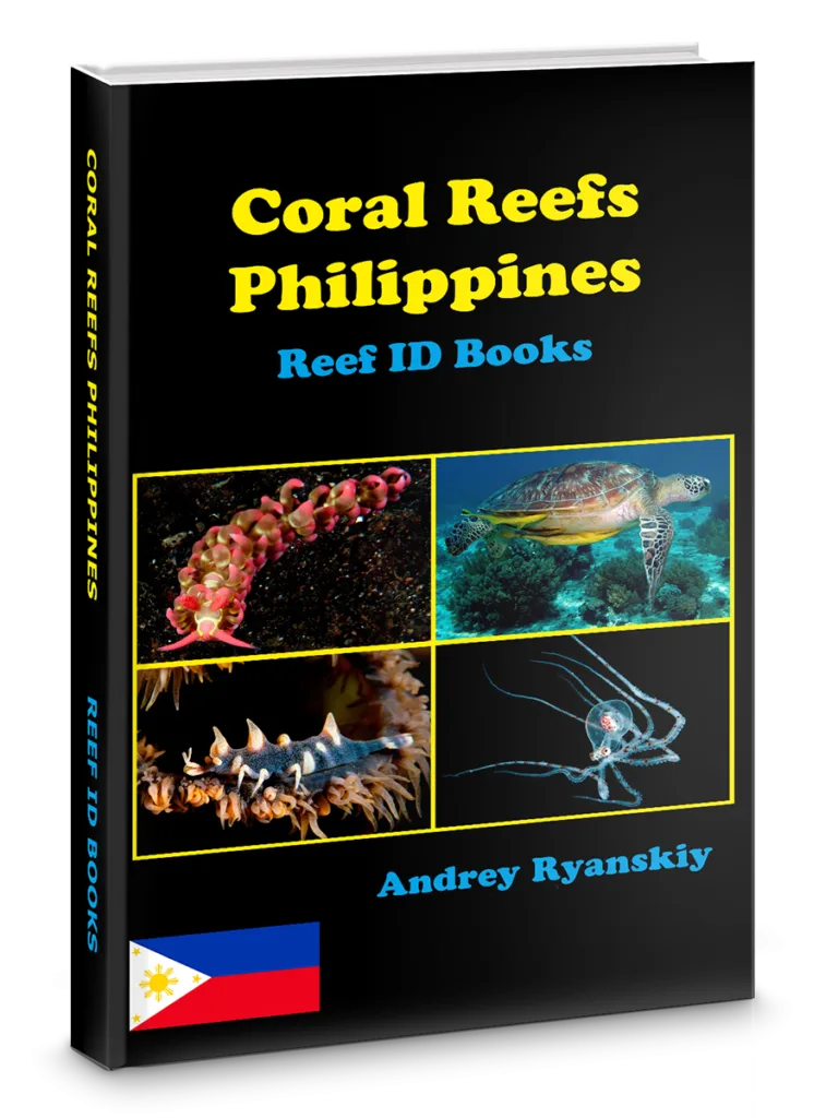 Coral Reefs Philippines
