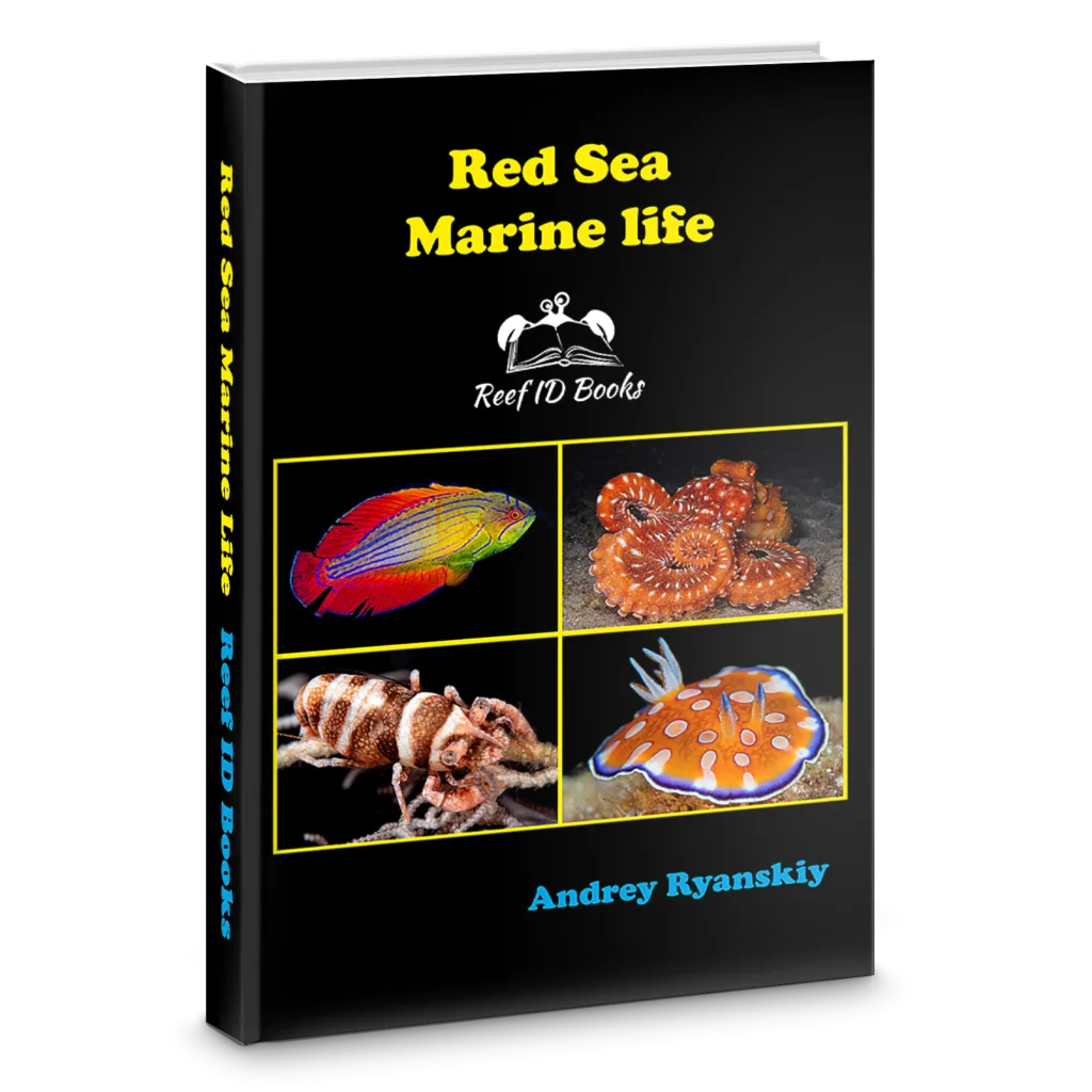 Free Red Sea Fish Guide – Sample PDF