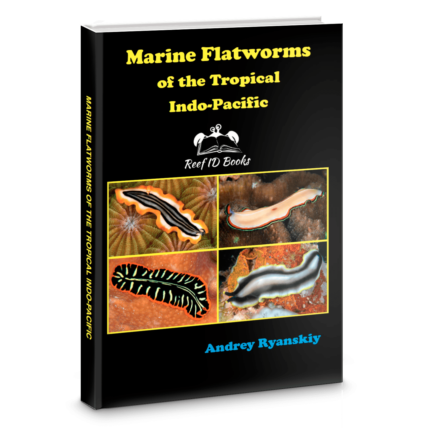 Marine Flatworms of the Tropical Indo-Pacific book cover