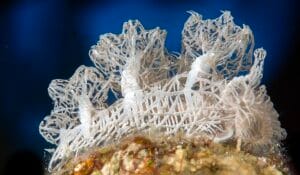 Read more about the article Lighthouse Shines Brightly